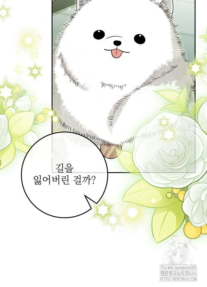 세상에 나쁜 금쪽이는 없다 13화 16