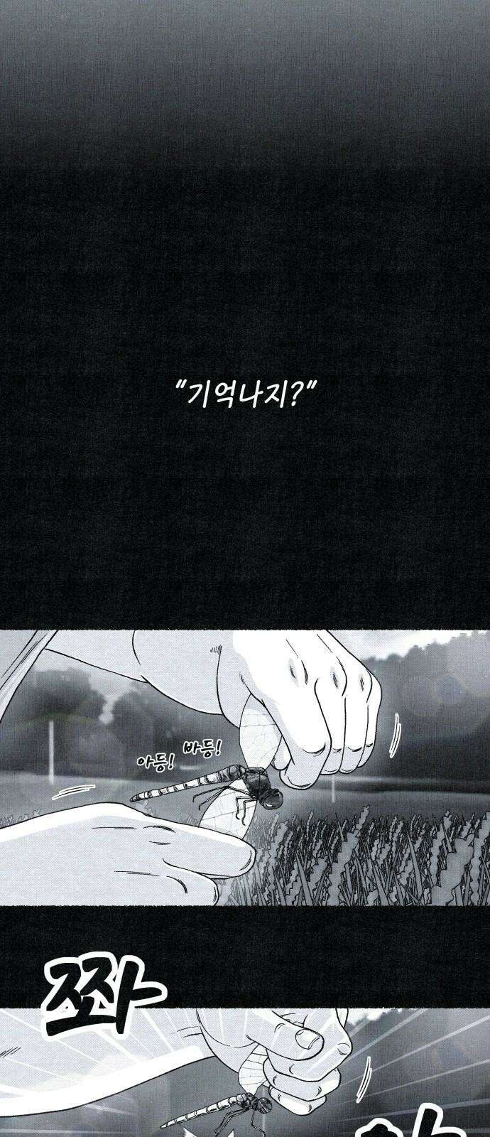 벌집 56화 19