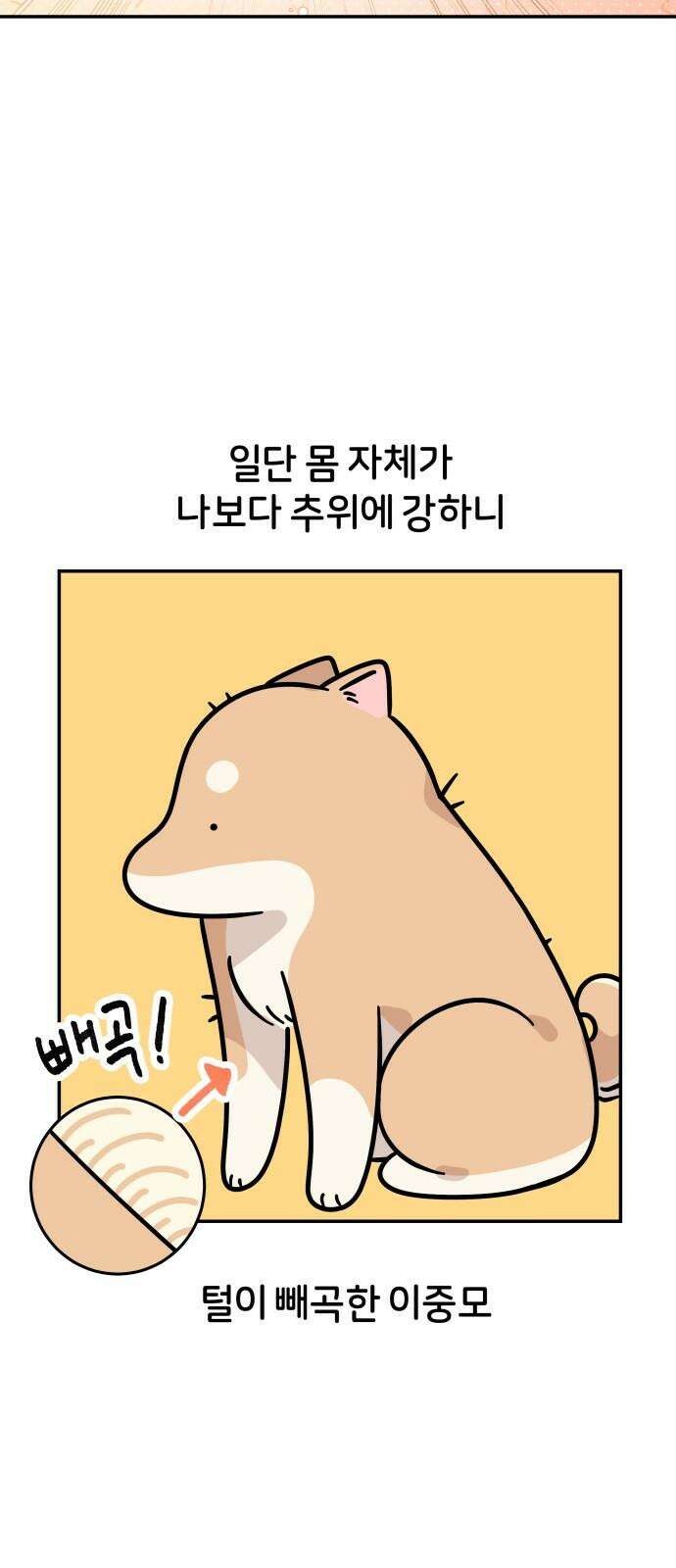 시바, 만만치 않다 28화 겨울의 일상 8