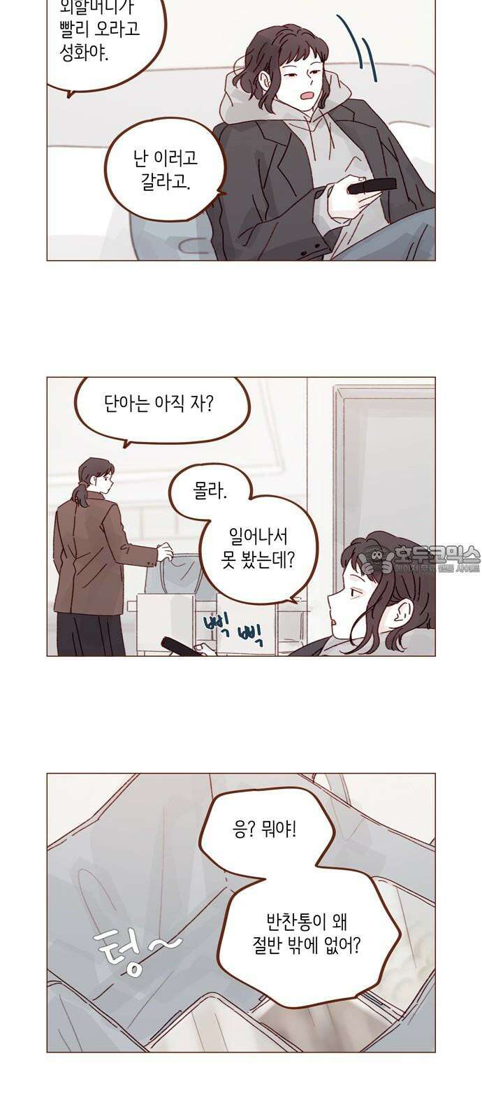 홍시는 날 좋아해! 300화 : 걔 남자친구 있어? 12