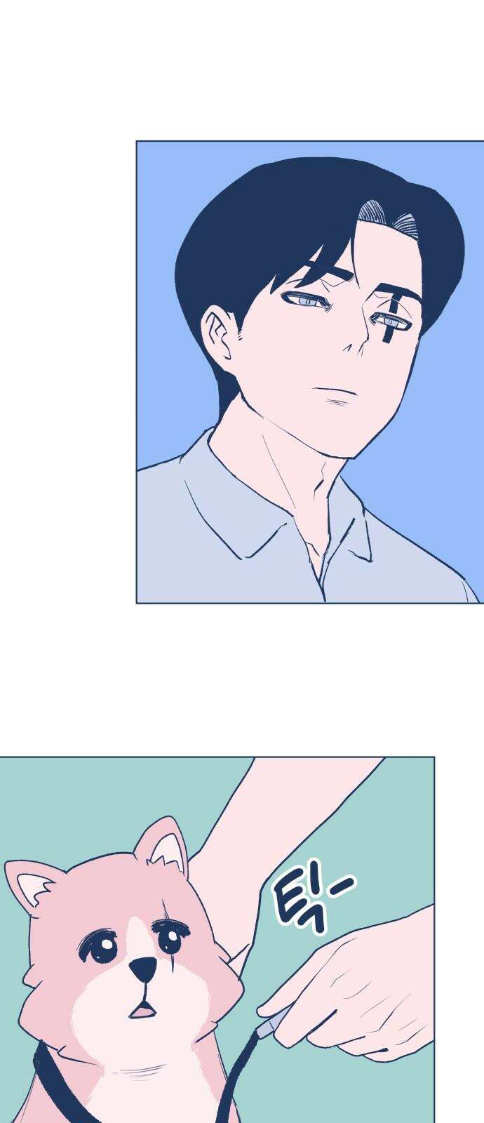 반려짐승 마지막화 10