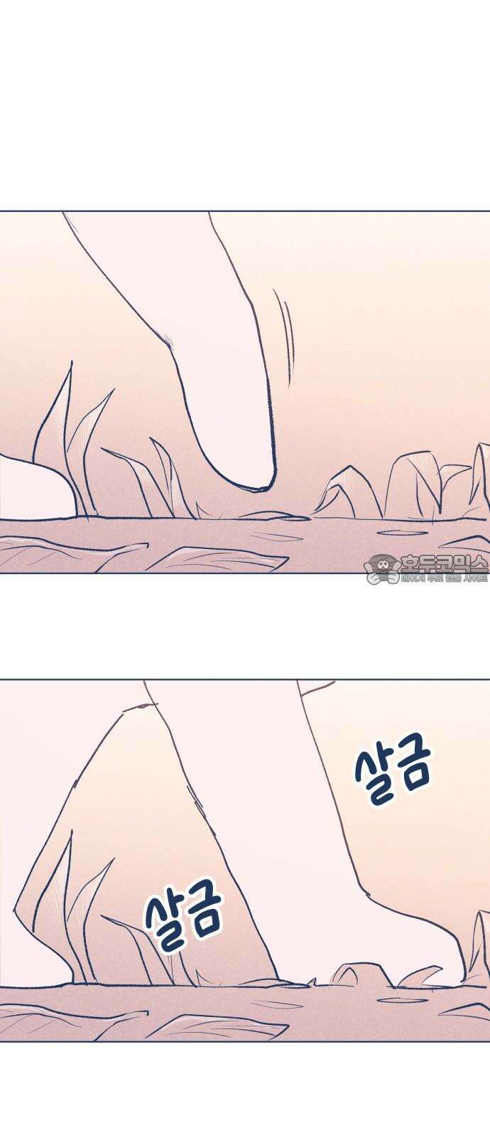 반려짐승 마지막화 12