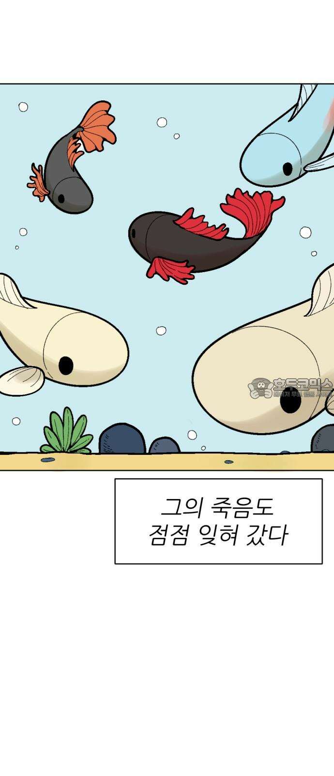 우리들의 사정 어항 속 금붕어(3) 完 3