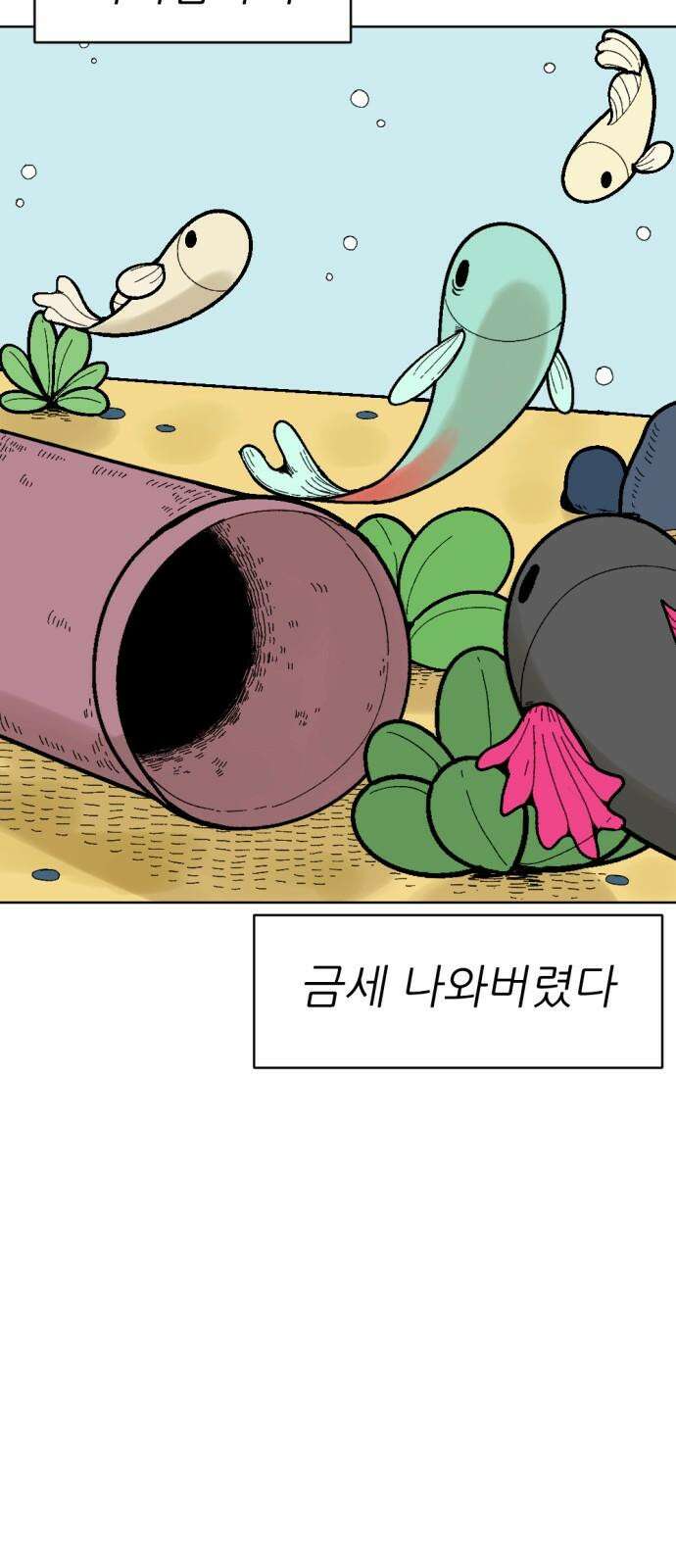우리들의 사정 어항 속 금붕어(3) 完 5