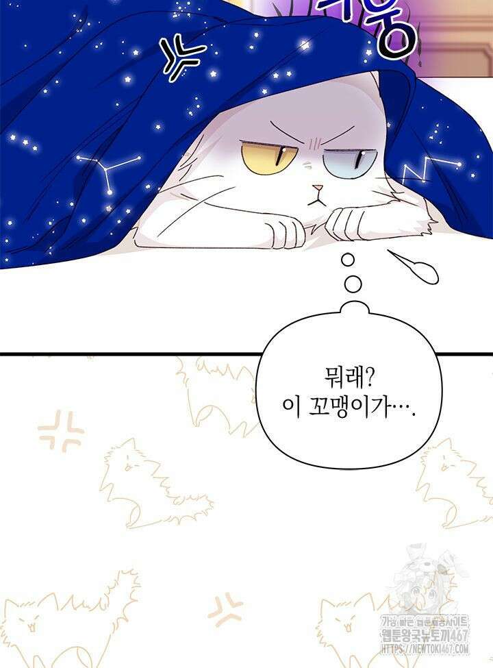 남주를 주웠더니 남편이 생겨버렸다 69화 10