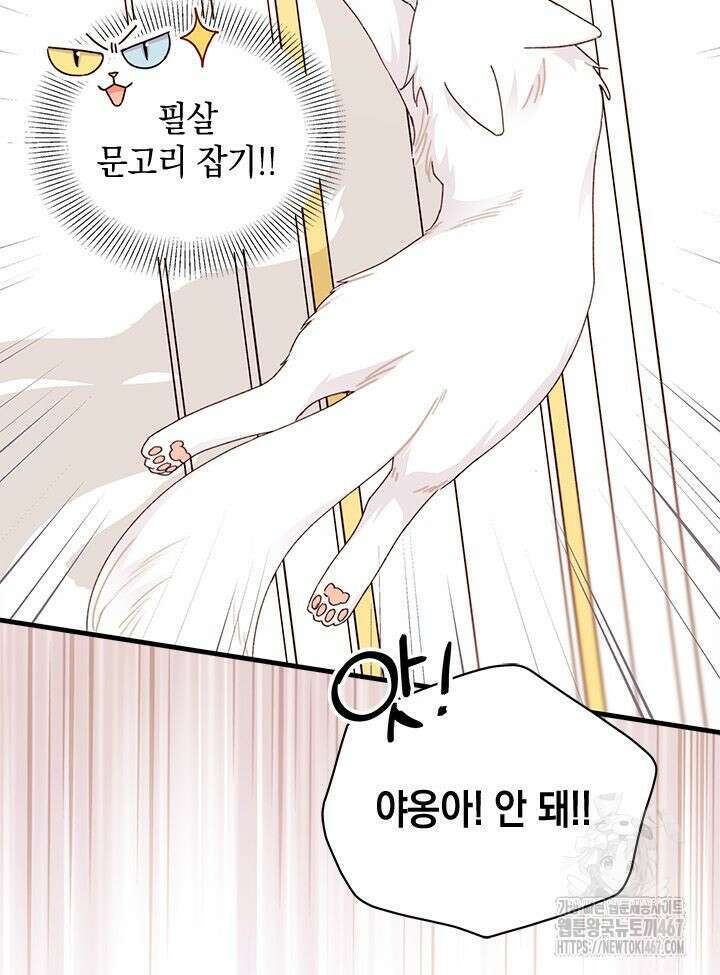 남주를 주웠더니 남편이 생겨버렸다 69화 25