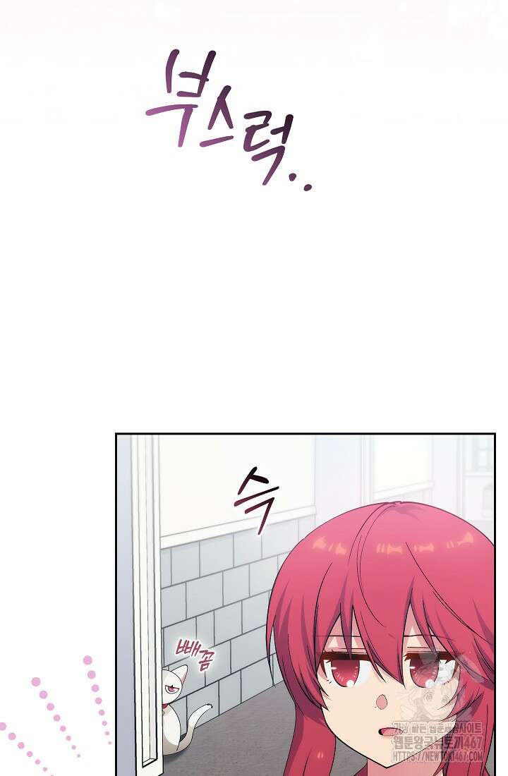 아도니스 278화 11