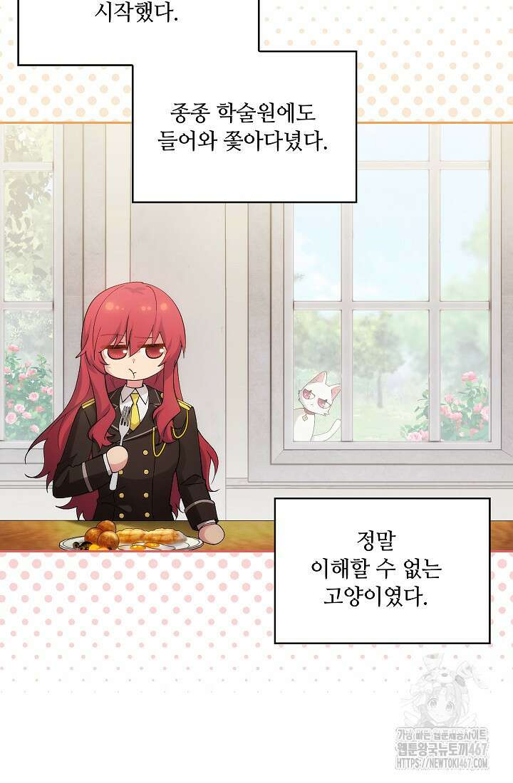 아도니스 278화 13