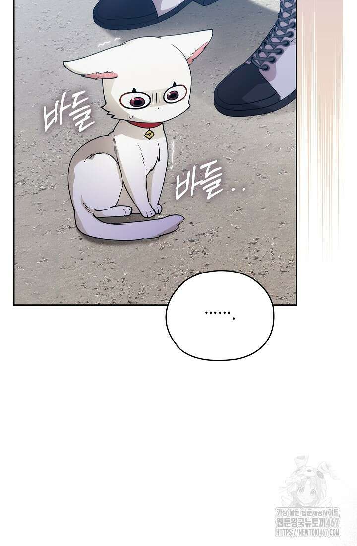 아도니스 278화 20