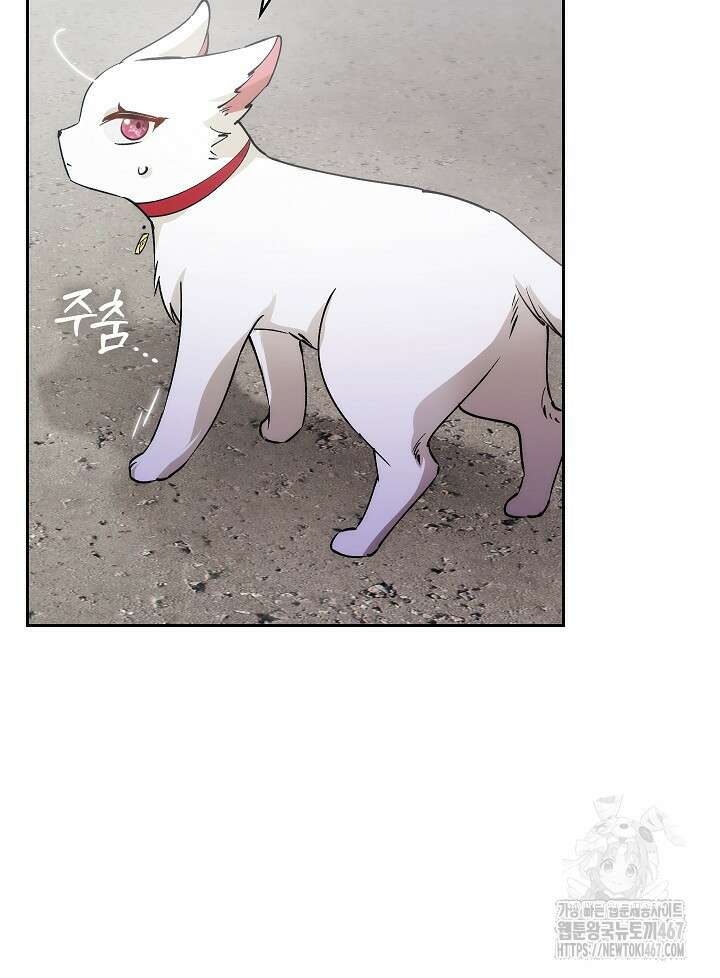 아도니스 278화 26