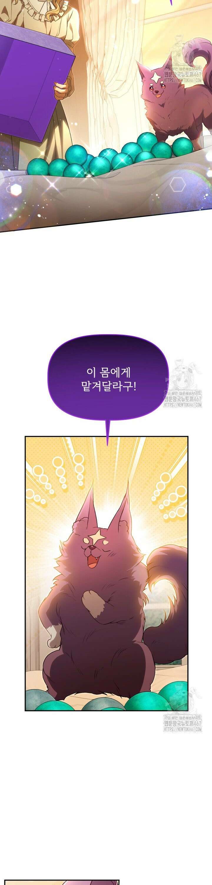 아젤다 : 정령사의 계약 결혼 31화 2