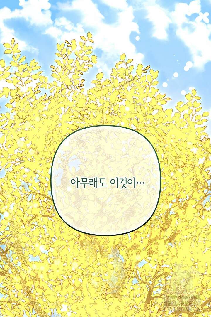 달아날 수 없게 만들어 64화 116