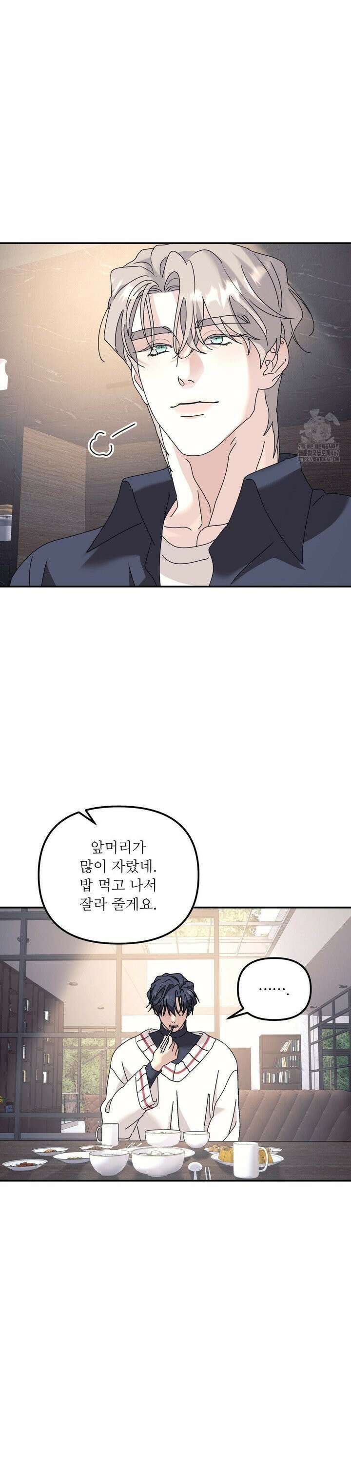 뿌리 없는 나무 78화 17