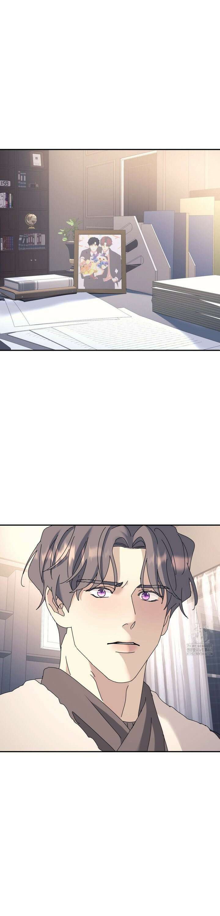 뿌리 없는 나무 78화 31