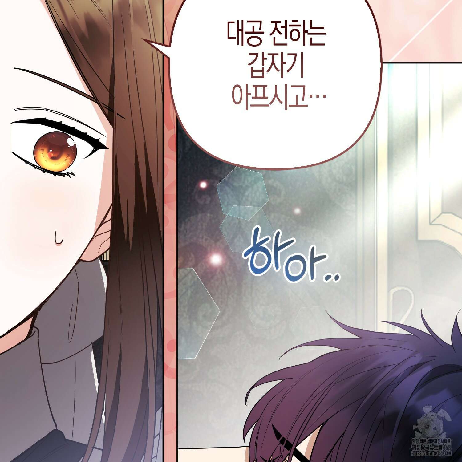 대공가의 여우 황녀님 64화 76
