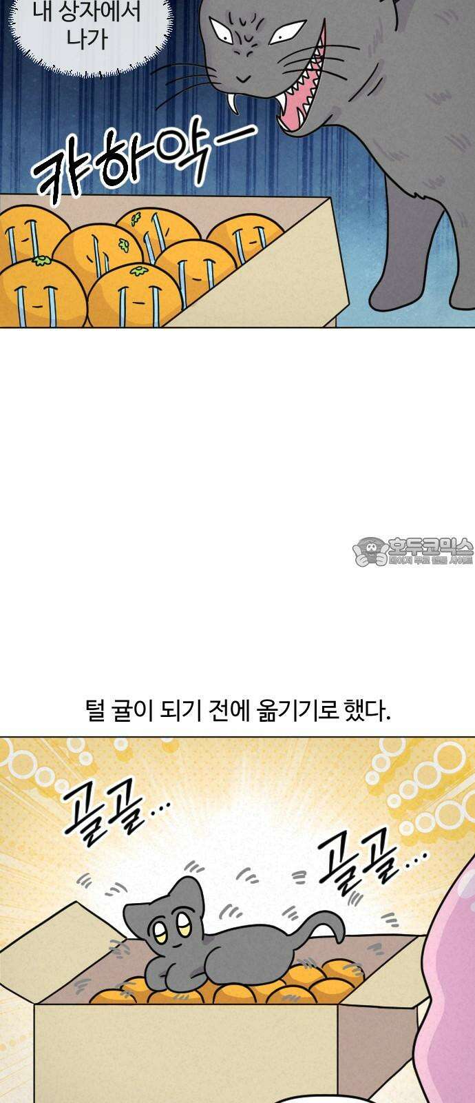 쌉초의 난 89화 귤 6