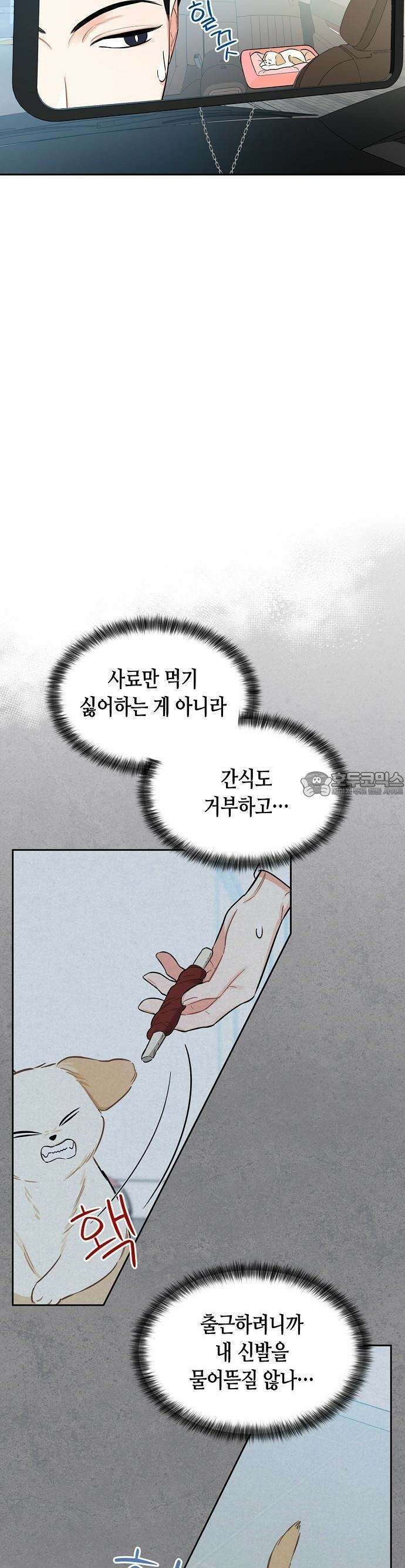대표님의 개가 되겠습니다 3화 10
