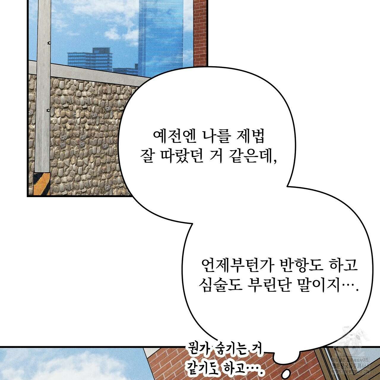 치치 시리즈 45화 19