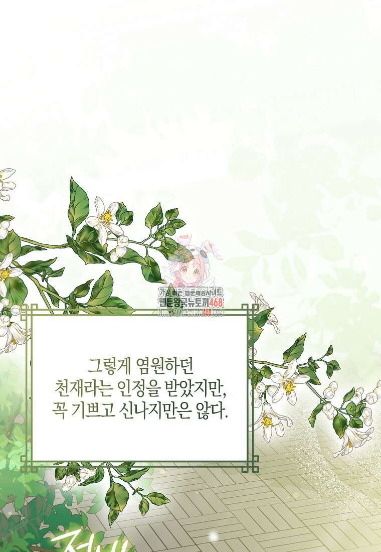 화산파 막내제자가 되었다 41화 1