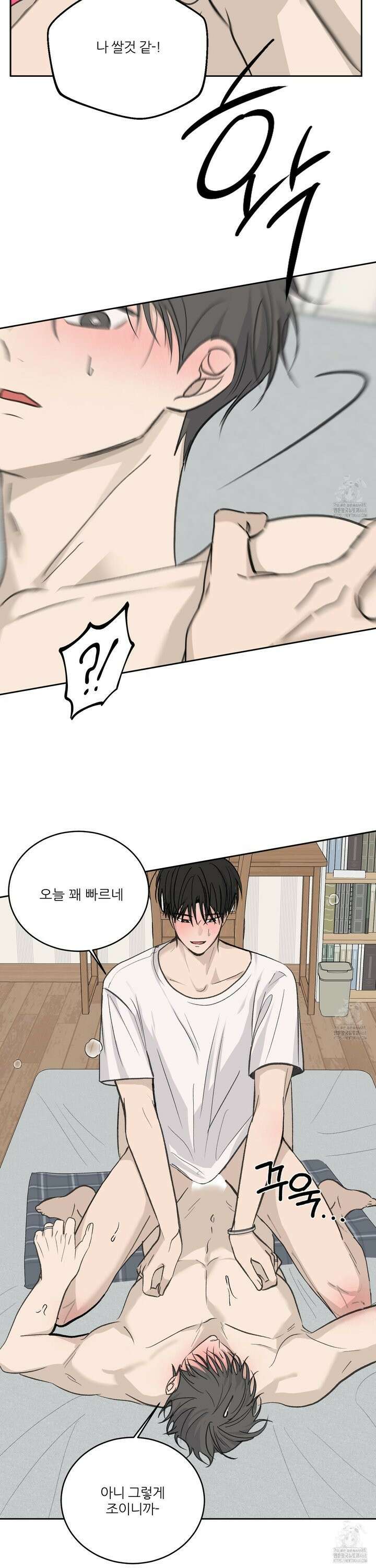 행방불명 로맨스 51화 12
