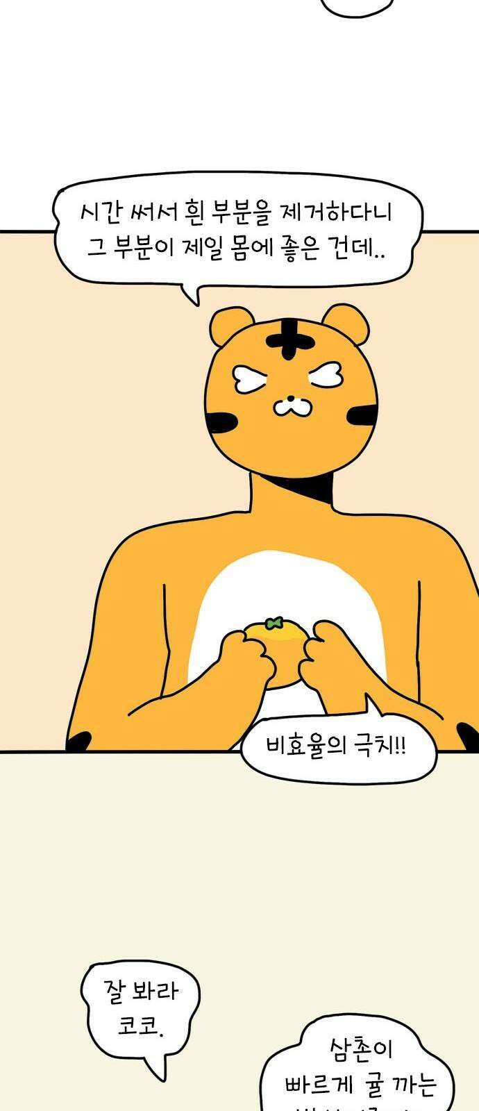 소심한 호랭이 코코 37화 귤껍질 아트 11