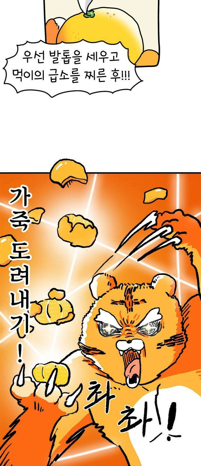 소심한 호랭이 코코 37화 귤껍질 아트 13