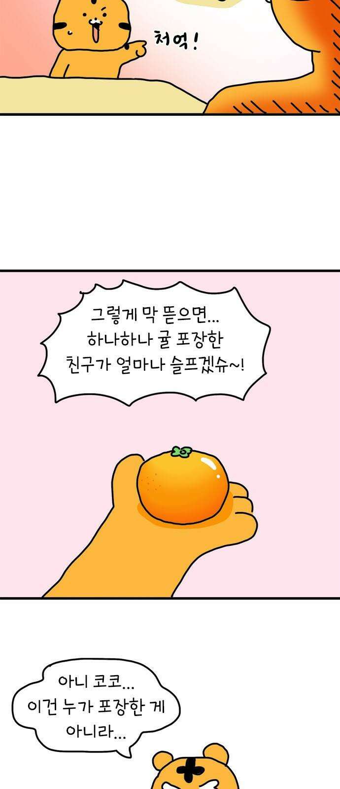 소심한 호랭이 코코 37화 귤껍질 아트 17
