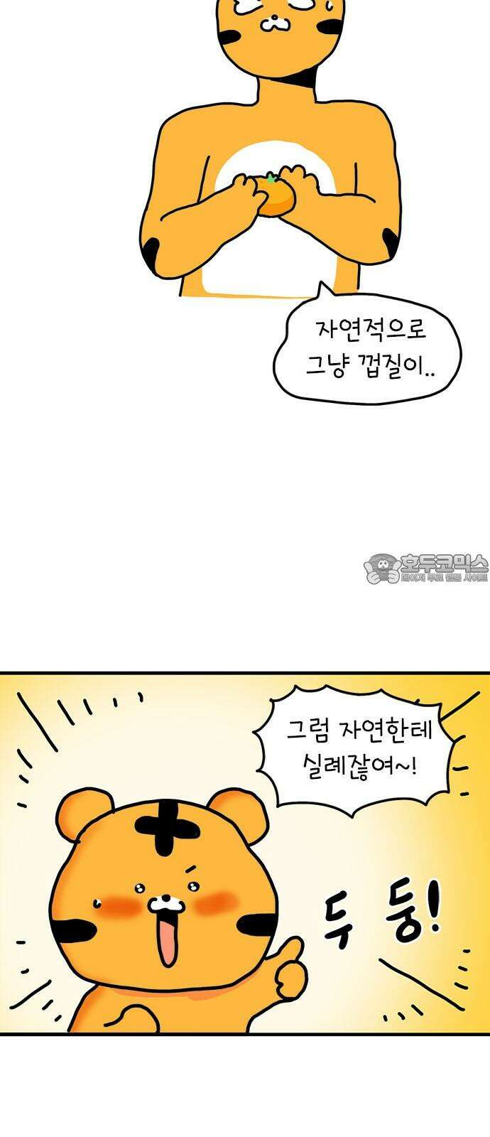 소심한 호랭이 코코 37화 귤껍질 아트 18