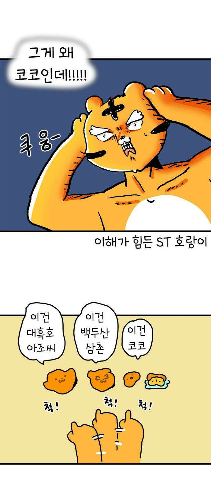 소심한 호랭이 코코 37화 귤껍질 아트 41