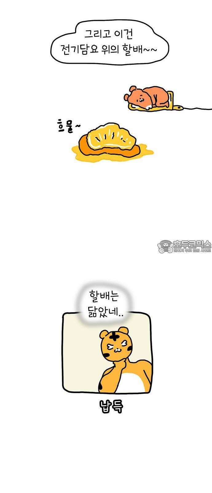 소심한 호랭이 코코 37화 귤껍질 아트 42