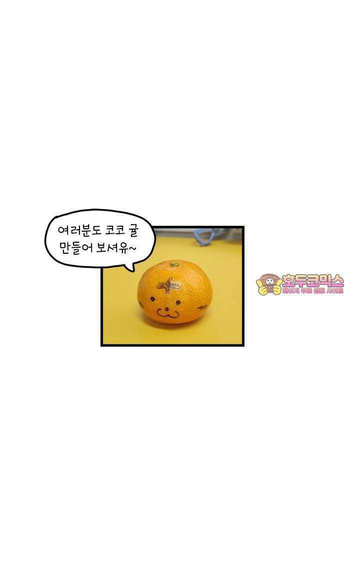 소심한 호랭이 코코 37화 귤껍질 아트 51