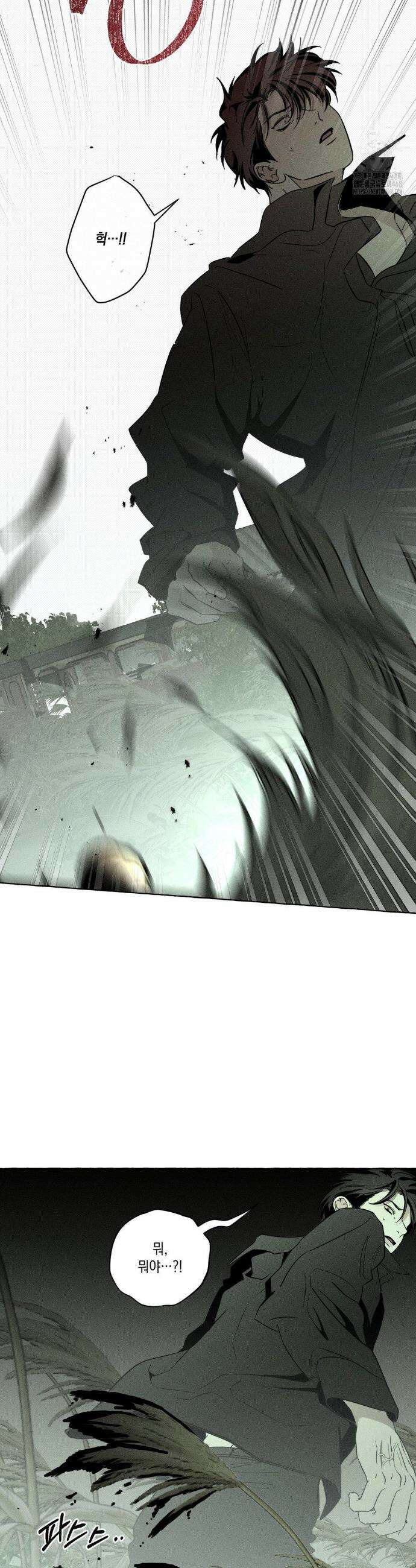 뼈와 꽃잎 35화 3
