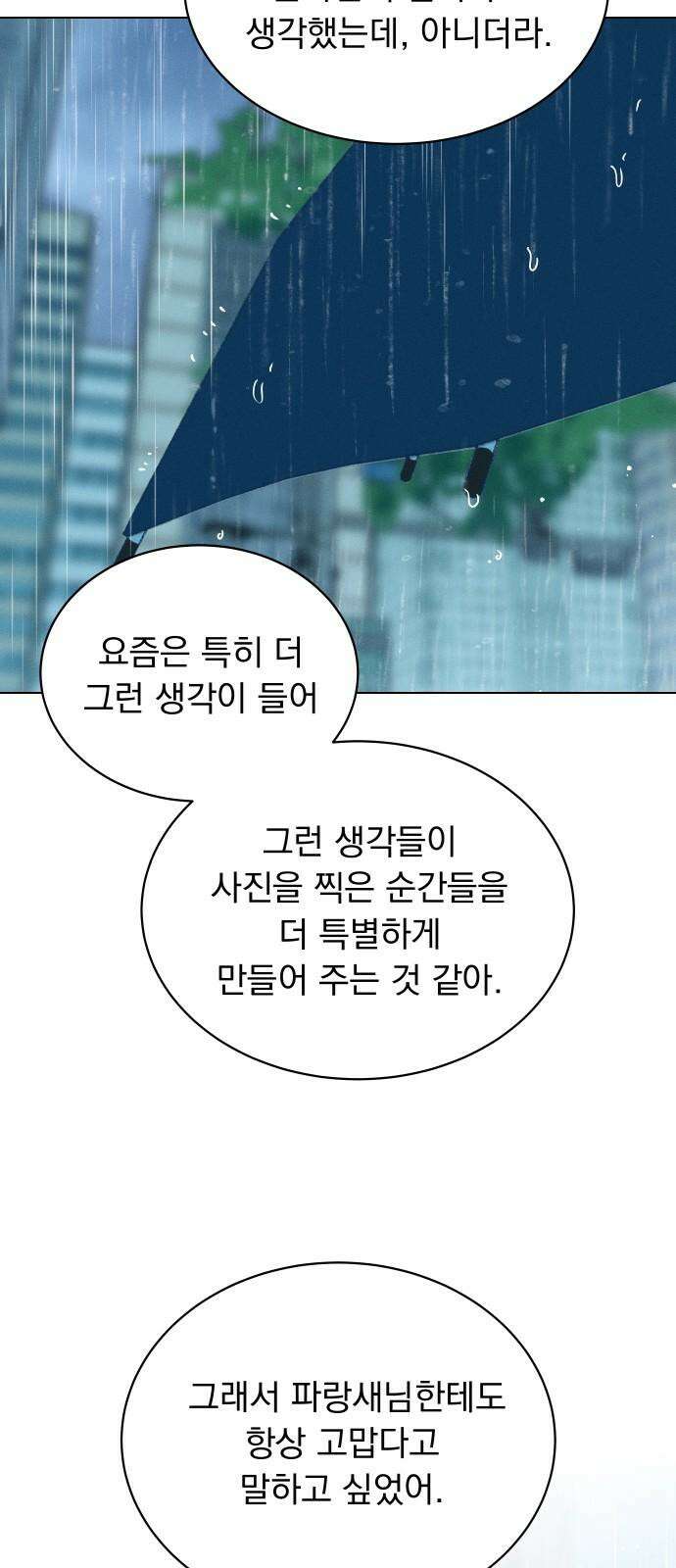 사랑하는 여름 하늘 33화 35