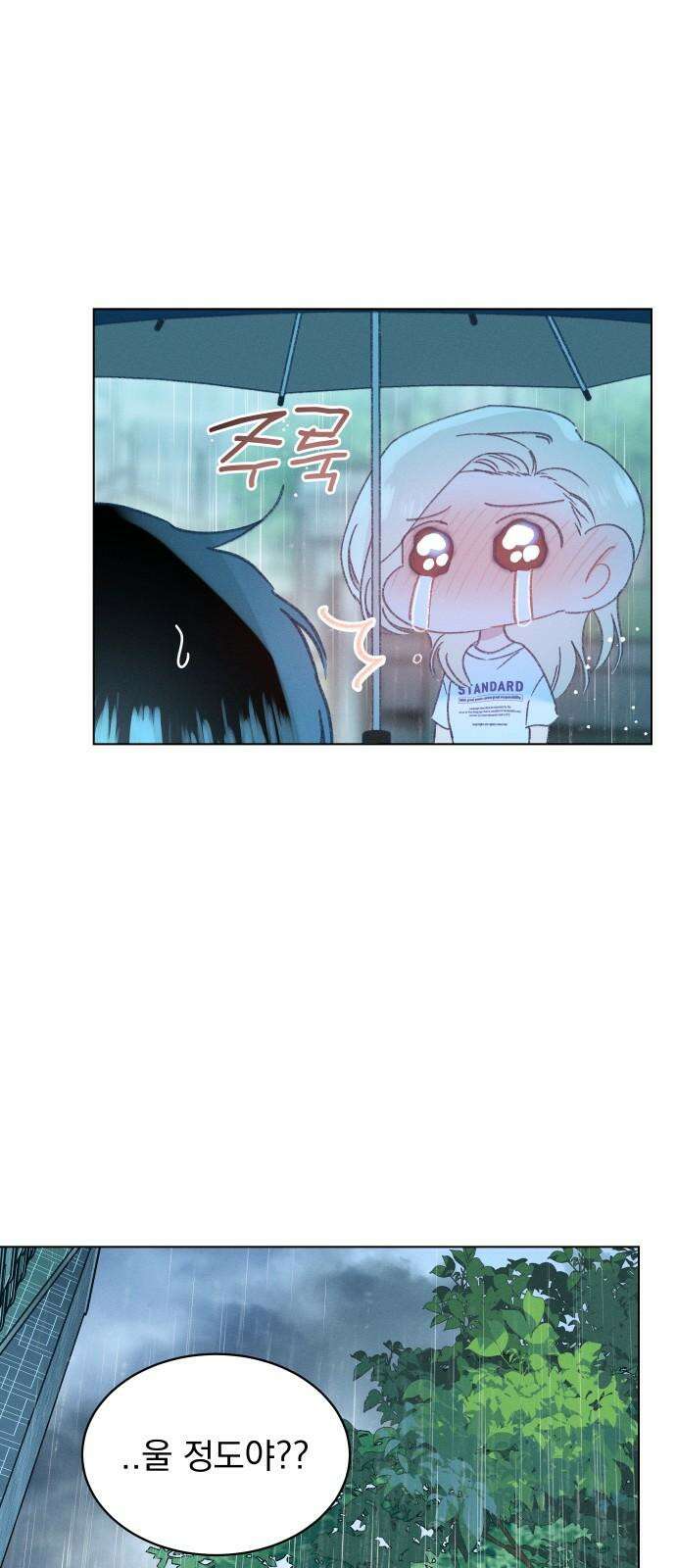 사랑하는 여름 하늘 33화 37
