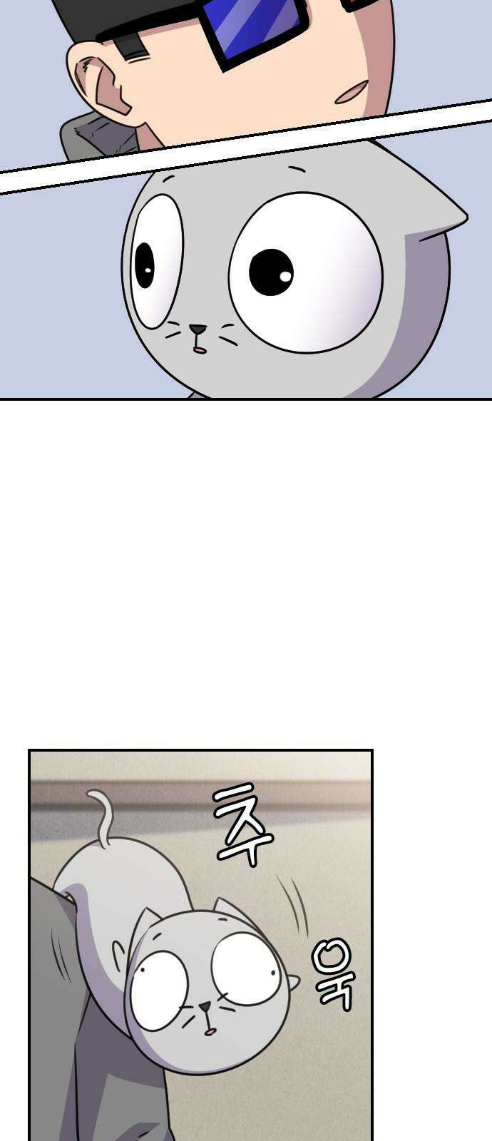 천재 곰?미 김순자 31화 - 작아작아빔 11