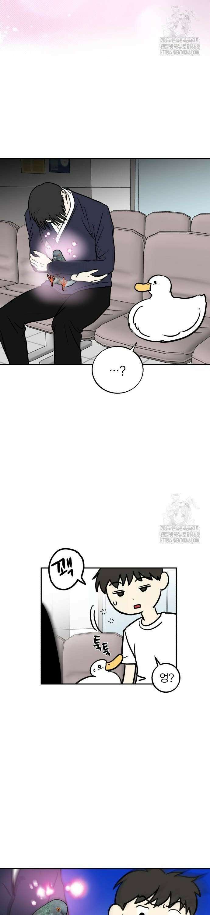 성북구 비둘기 이헌서 40화) 오리의 꿈 2
