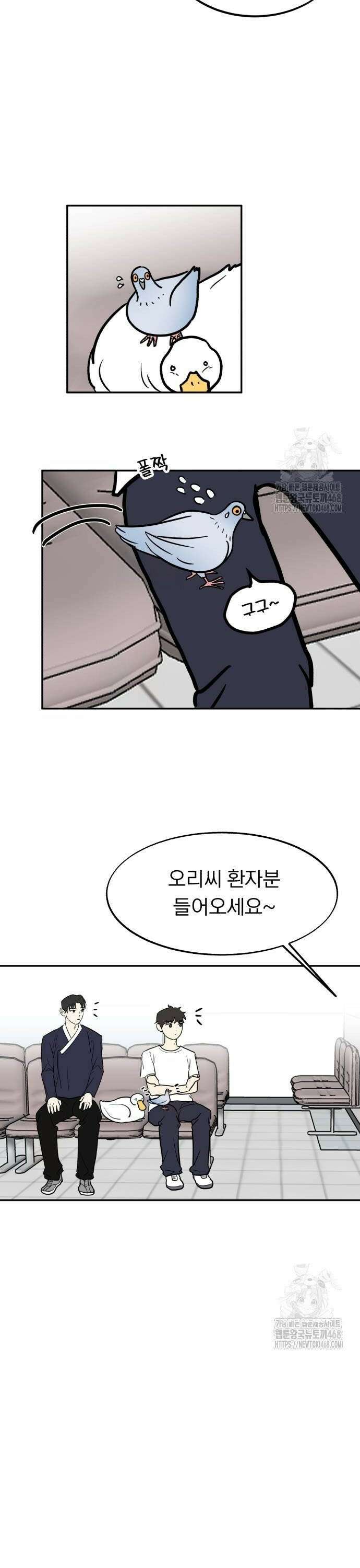 성북구 비둘기 이헌서 40화) 오리의 꿈 6