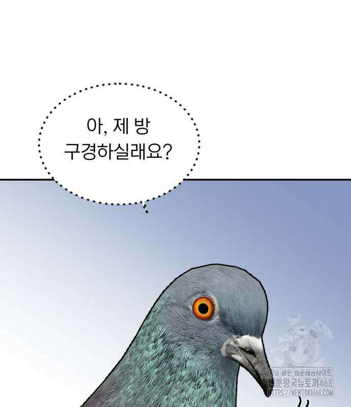 성북구 비둘기 이헌서 41화 11