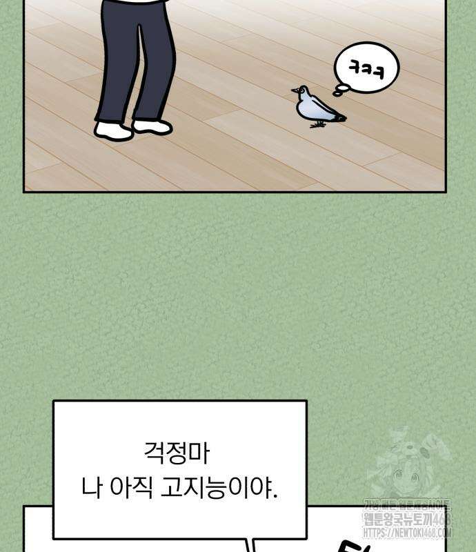 성북구 비둘기 이헌서 41화 19