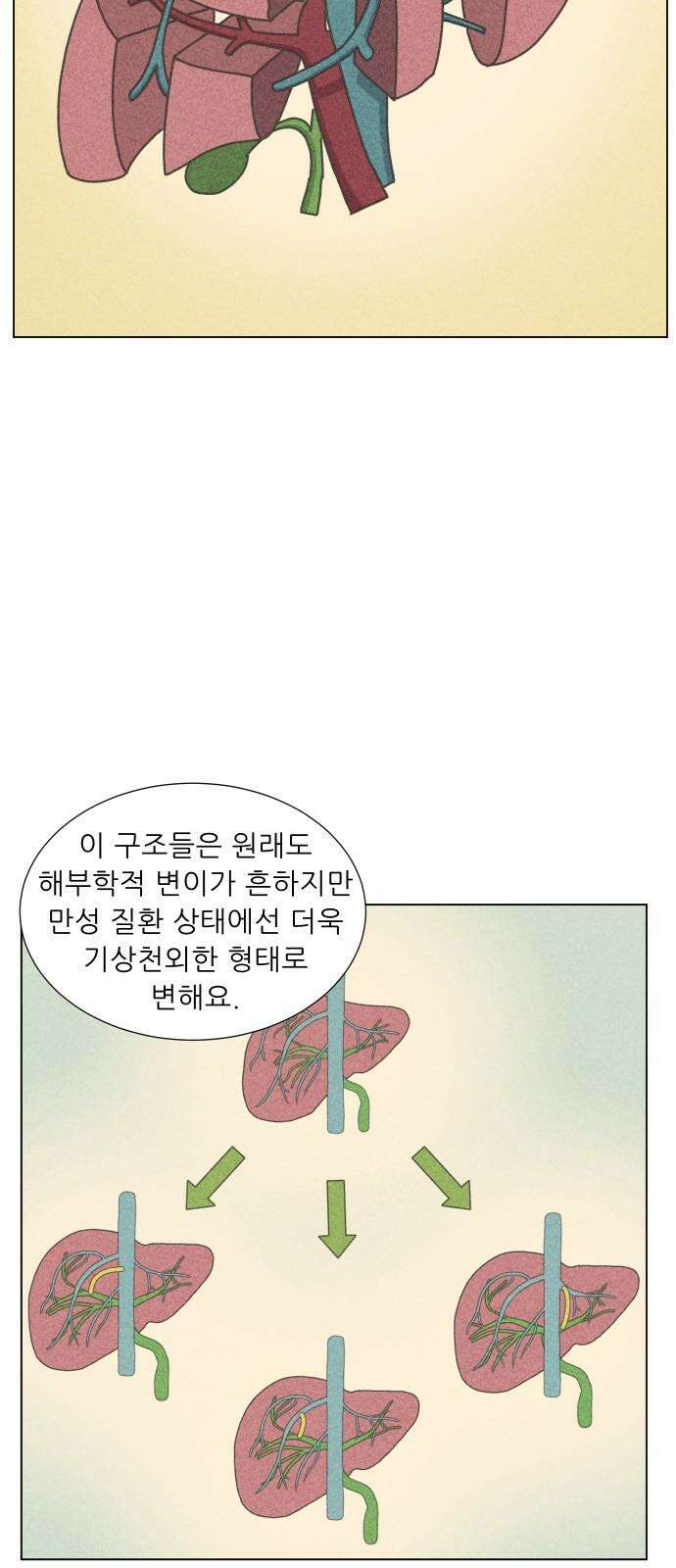 닥터앤닥터 병원일기 101화 닥터단감 4