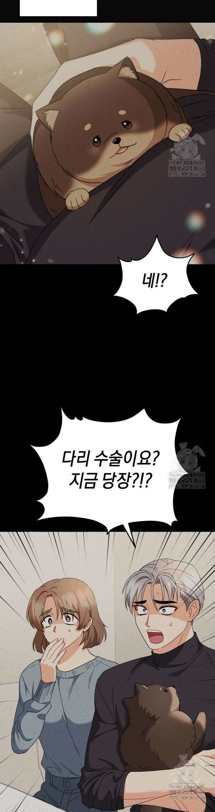 수의사님! 안녕하세요? 87화 10