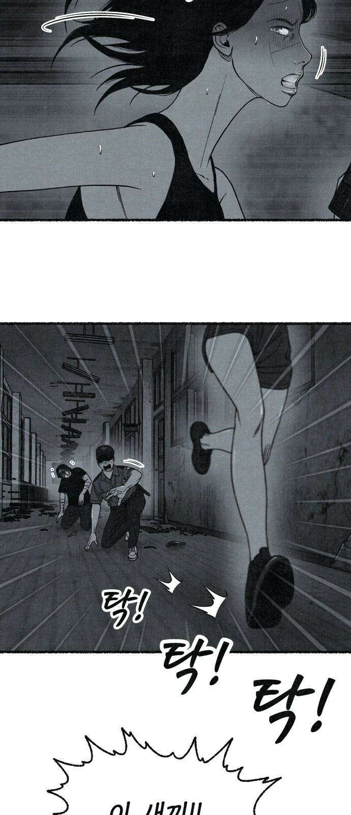벌집 - 62화 41