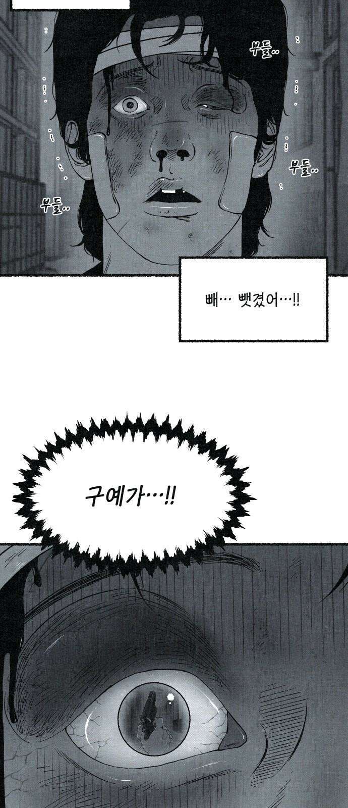 벌집 - 62화 46