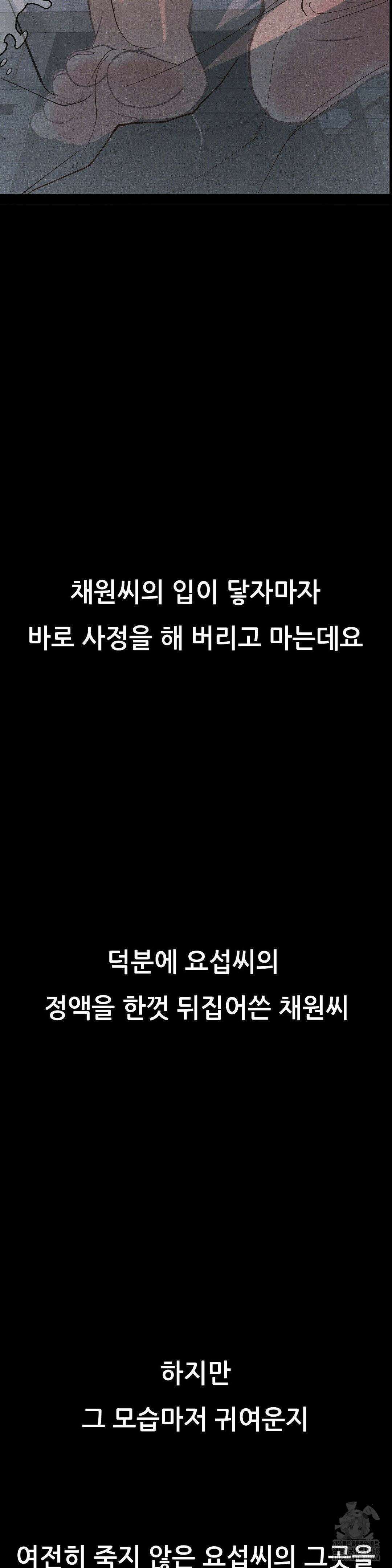 관찰일기 17화 14