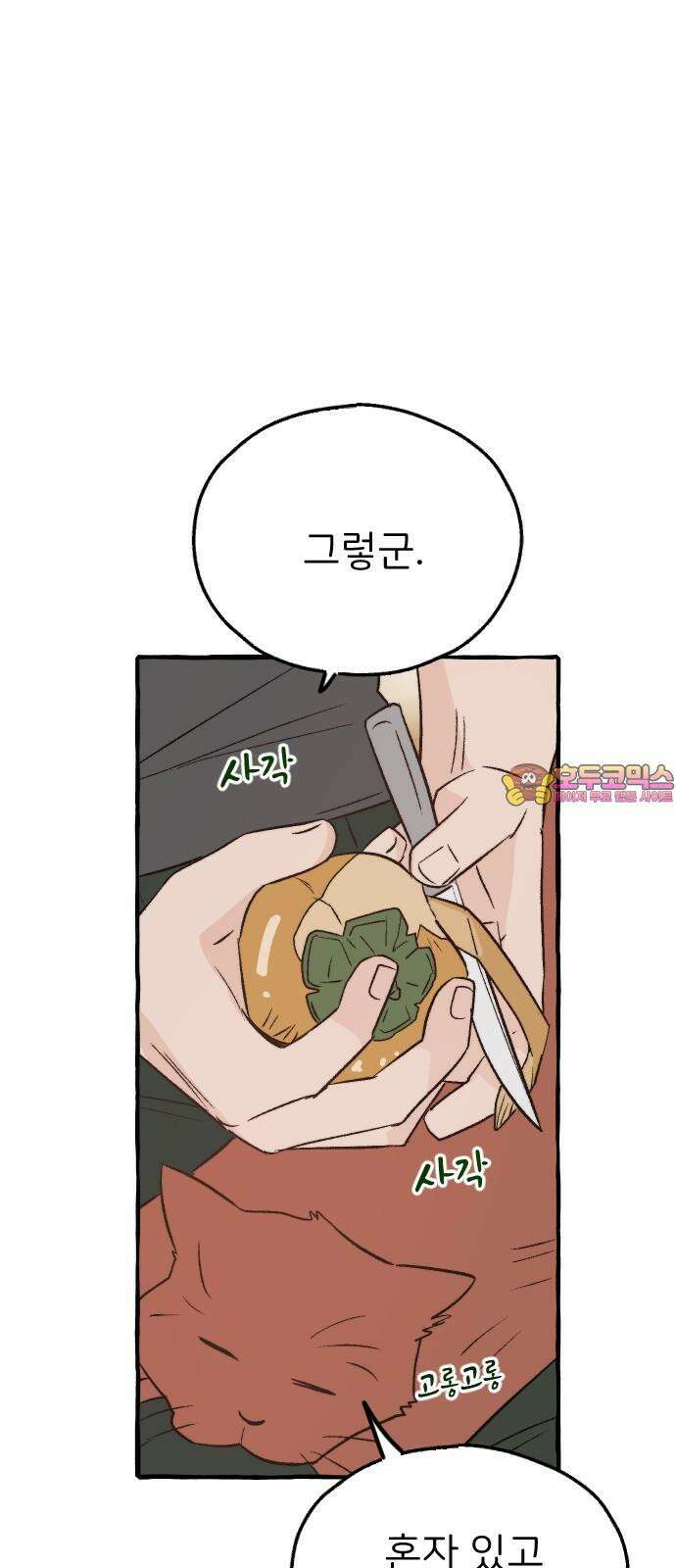 숲속의 대표님 58 1