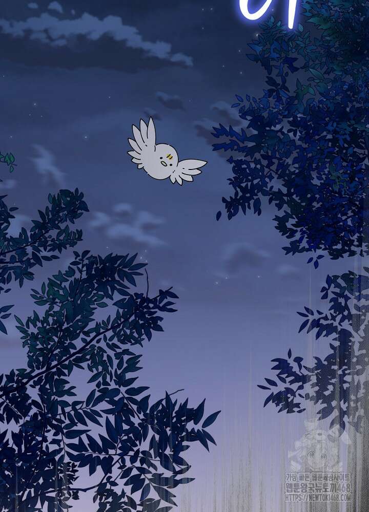 새황후 58화 2