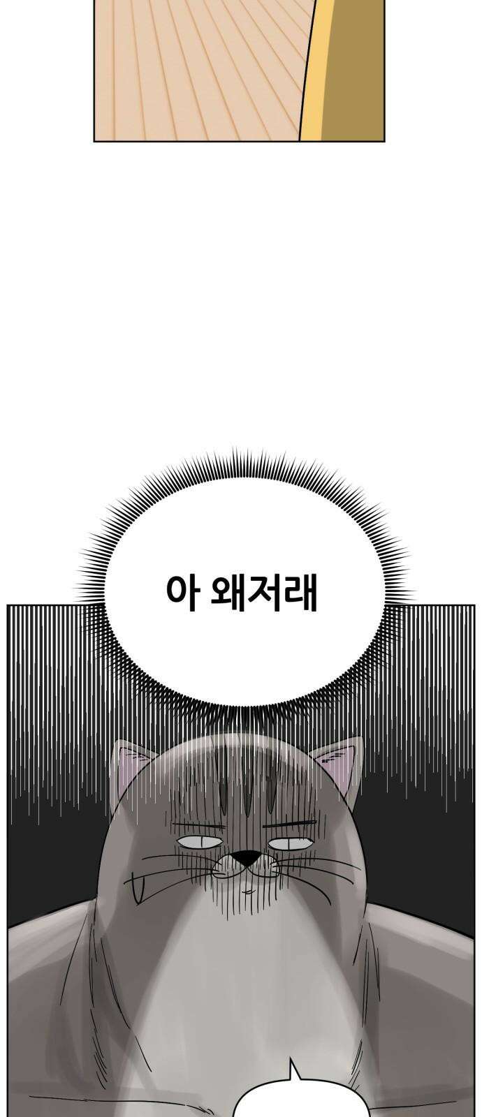 괴양이 83화 아티스트 11