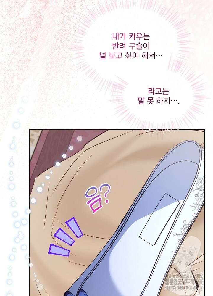 아기 신수로 환생했습니다 88화 20