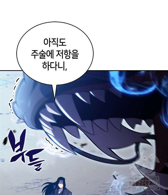 나 혼자 만렙 뉴비 196화 29