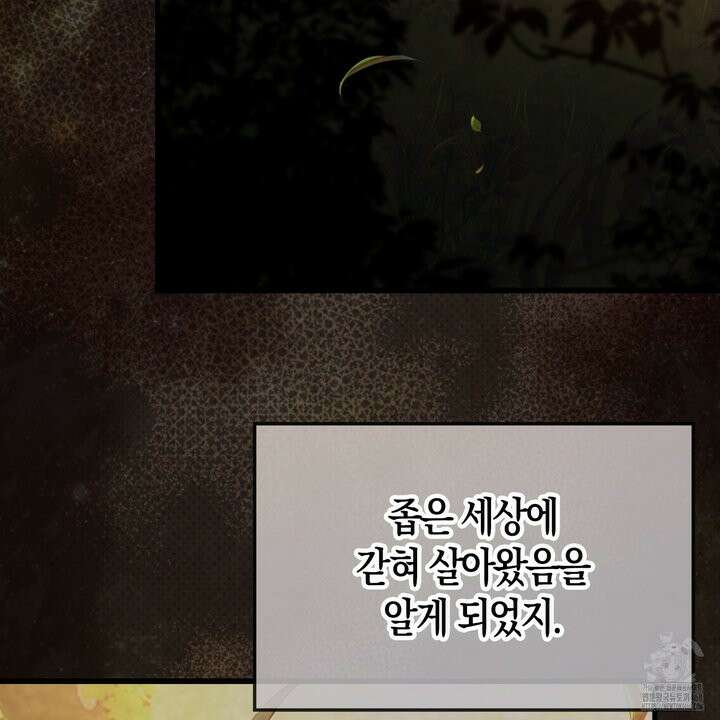 엑스트라가 너무 강함 81화 134